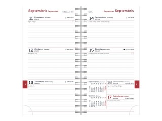 Skolēnu dienasgrāmata, 10.-12.kl., Midi Spirex, 100x170 mm, bēšs