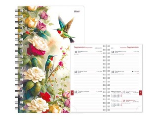 Student diary, 10th-12th grade, Student Spiral design, 115x177 mm, Romance