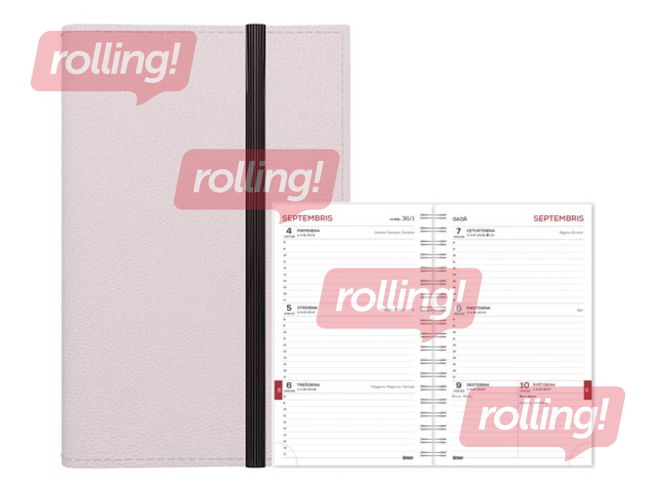 Skolēnu dienasgrāmata, 10.-12.kl., Student Flex, 120x180 mm, gaiši pelēka