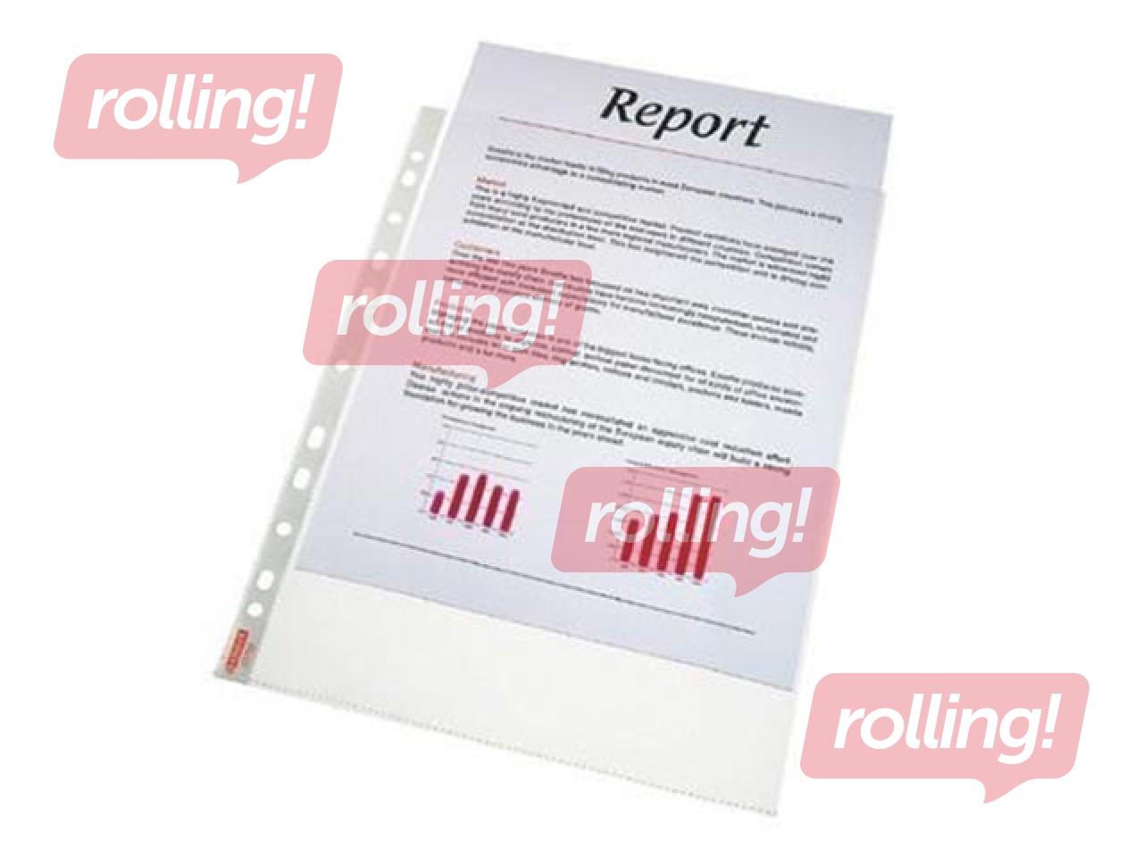 Dokumentu kabatiņas Essselte, A4, matētas, 75 mic., 100 gab.