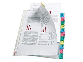 Document pocket Esselte  A4+, with 12 tabs