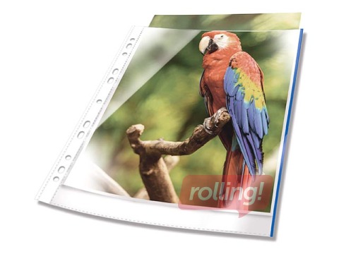 Document pockets Durable, A4 with blue edge, 25 pcs.