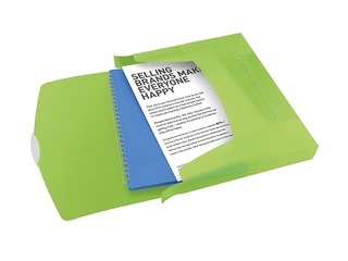 Box File Esselte Vivida, A4, 40 mm, translucent, green