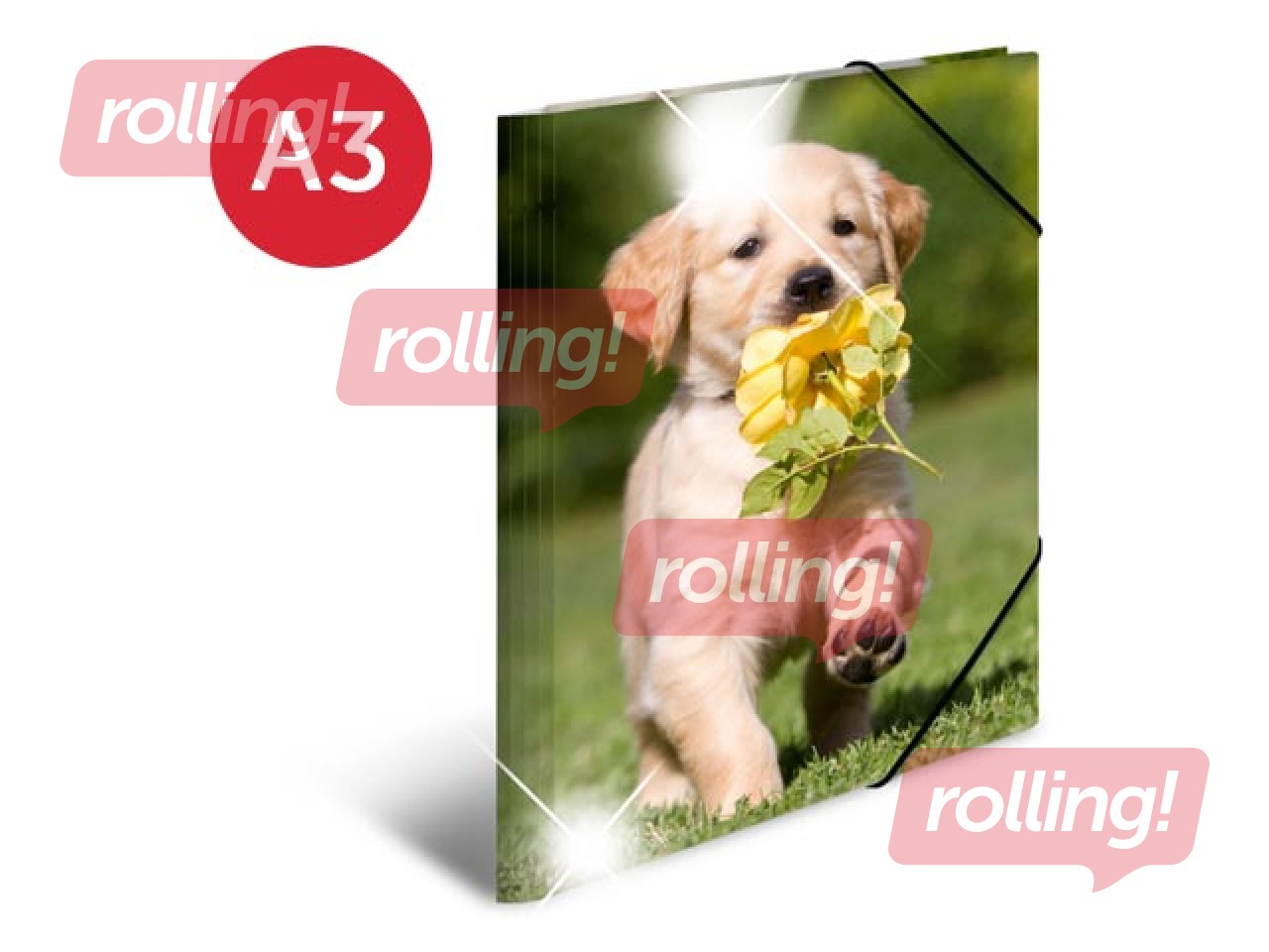 Folder with 3 flaps and rubbers Herma, A3, PP, glossy