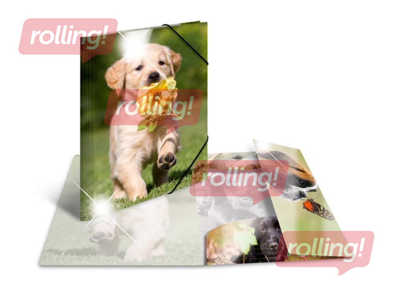 Folder with 3 flaps and rubbers Herma, A3, PP, glossy