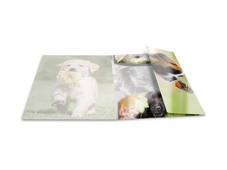 Folder with 3 flaps and rubbers Herma, A3, PP, glossy