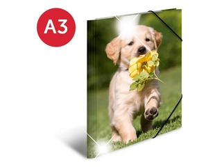 Kaust 3 klapi ja kummiga Herma, A3, PP, läikiv