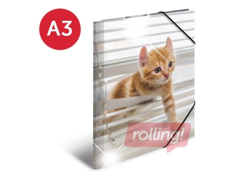 Folder with 3 flaps and rubbers Herma, A3, PP, glossy