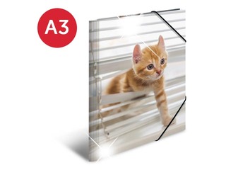 Folder with 3 flaps and rubbers Herma, A3, PP, glossy