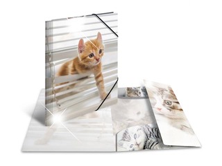 Folder with 3 flaps and rubbers Herma, A3, PP, glossy