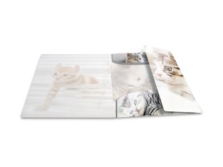 Folder with 3 flaps and rubbers Herma, A3, PP, glossy