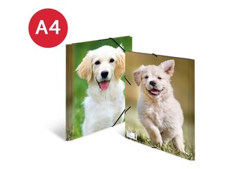 Folder with 3 flaps and rubbers Herma, A4, PP