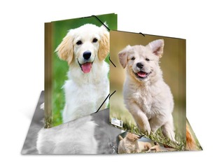 Mape ar 3 atlokiem un gumijām Herma, dzīvnieku apdruka, A4, PP