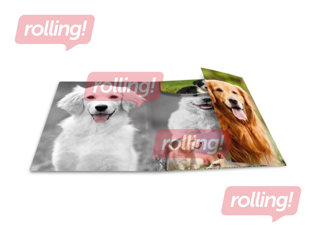 Mape ar 3 atlokiem un gumijām Herma, dzīvnieku apdruka, A4, PP