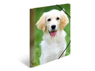 Папка с 3-мя клапанами и резинками Herma, A4, ПП