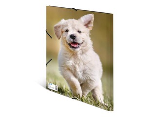 Папка с 3-мя клапанами и резинками Herma, A4, ПП