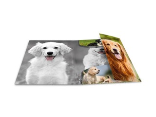 Папка с 3-мя клапанами и резинками Herma, A4, ПП