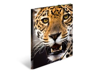 Mape ar 3 atlokiem un gumijām Herma, dzīvnieku apdruka, A4, PP