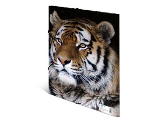 Mape ar 3 atlokiem un gumijām Herma, dzīvnieku apdruka, A4, PP