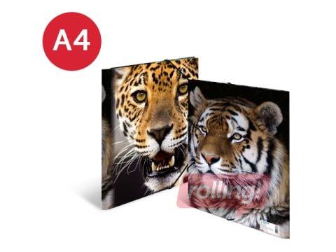 PROMO Kaust 3 klapi ja kummiga Herma, A4, PP