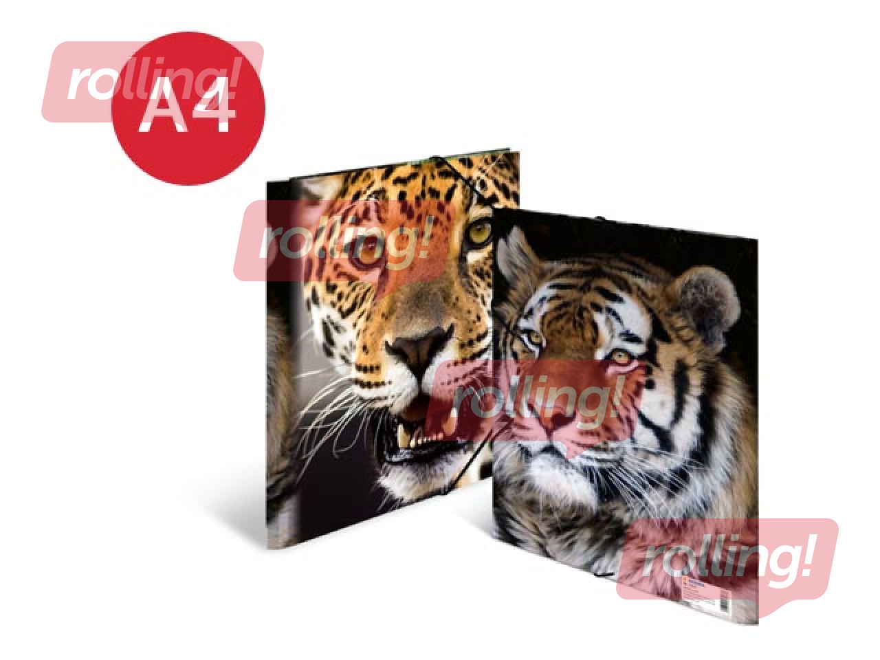 PROMO Kaust 3 klapi ja kummiga Herma, A4, PP