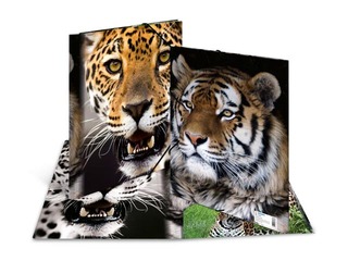 PROMO Kaust 3 klapi ja kummiga Herma, A4, PP