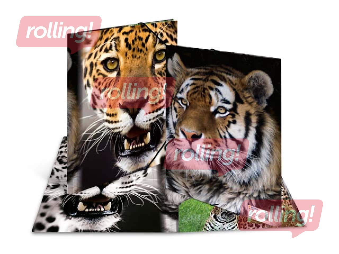 PROMO Kaust 3 klapi ja kummiga Herma, A4, PP