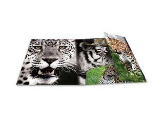 PROMO Kaust 3 klapi ja kummiga Herma, A4, PP