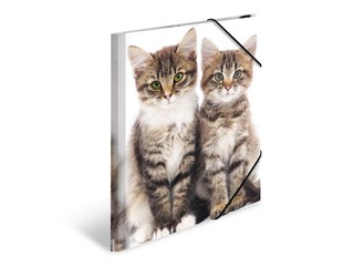 Mape ar 3 atlokiem un gumijām Herma, dzīvnieku apdruka, A4, PP