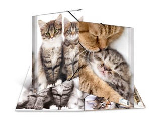 Папка с 3-мя клапанами и резинками Herma, A4, ПП