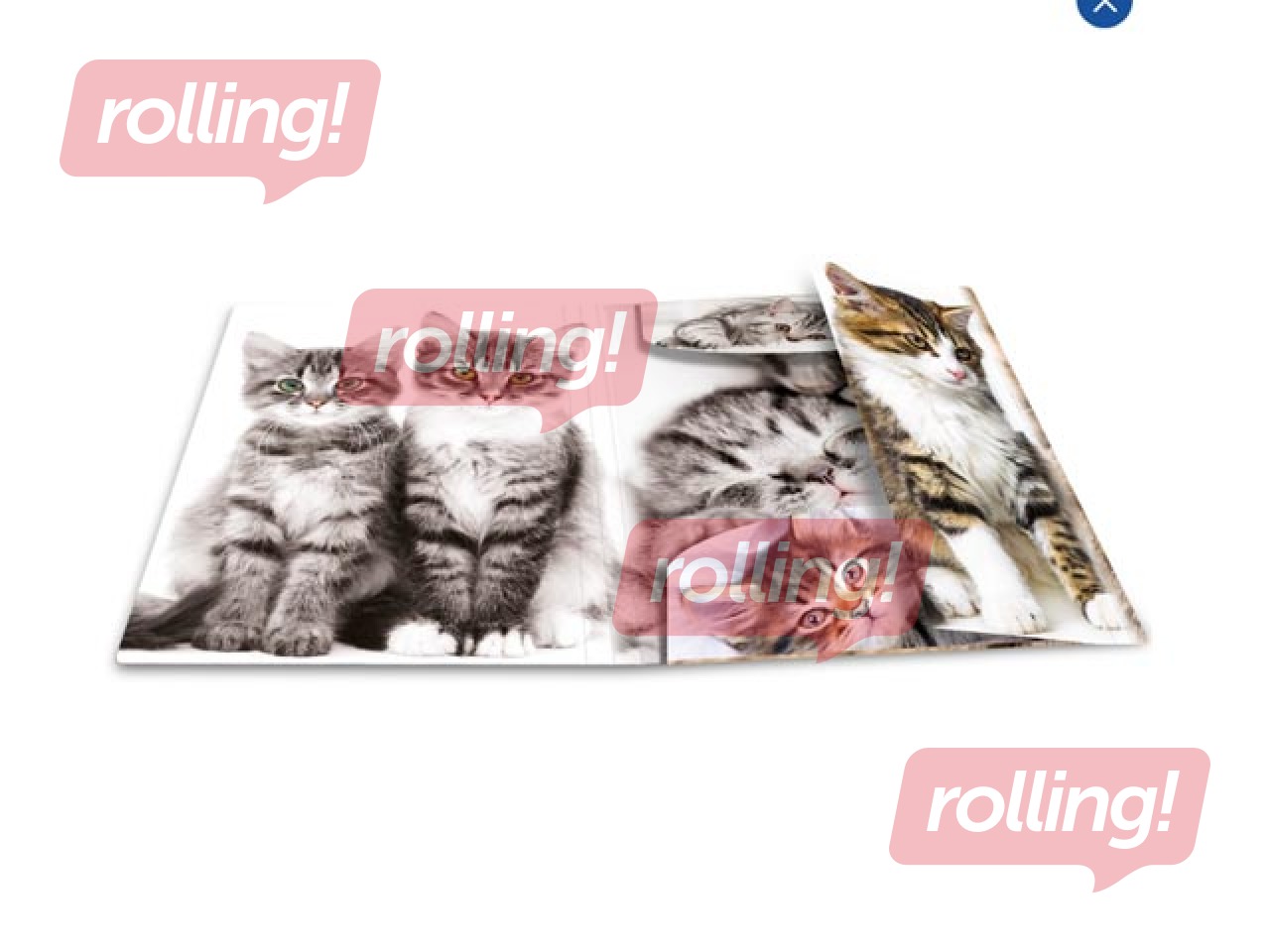 Папка с 3-мя клапанами и резинками Herma, A4, ПП