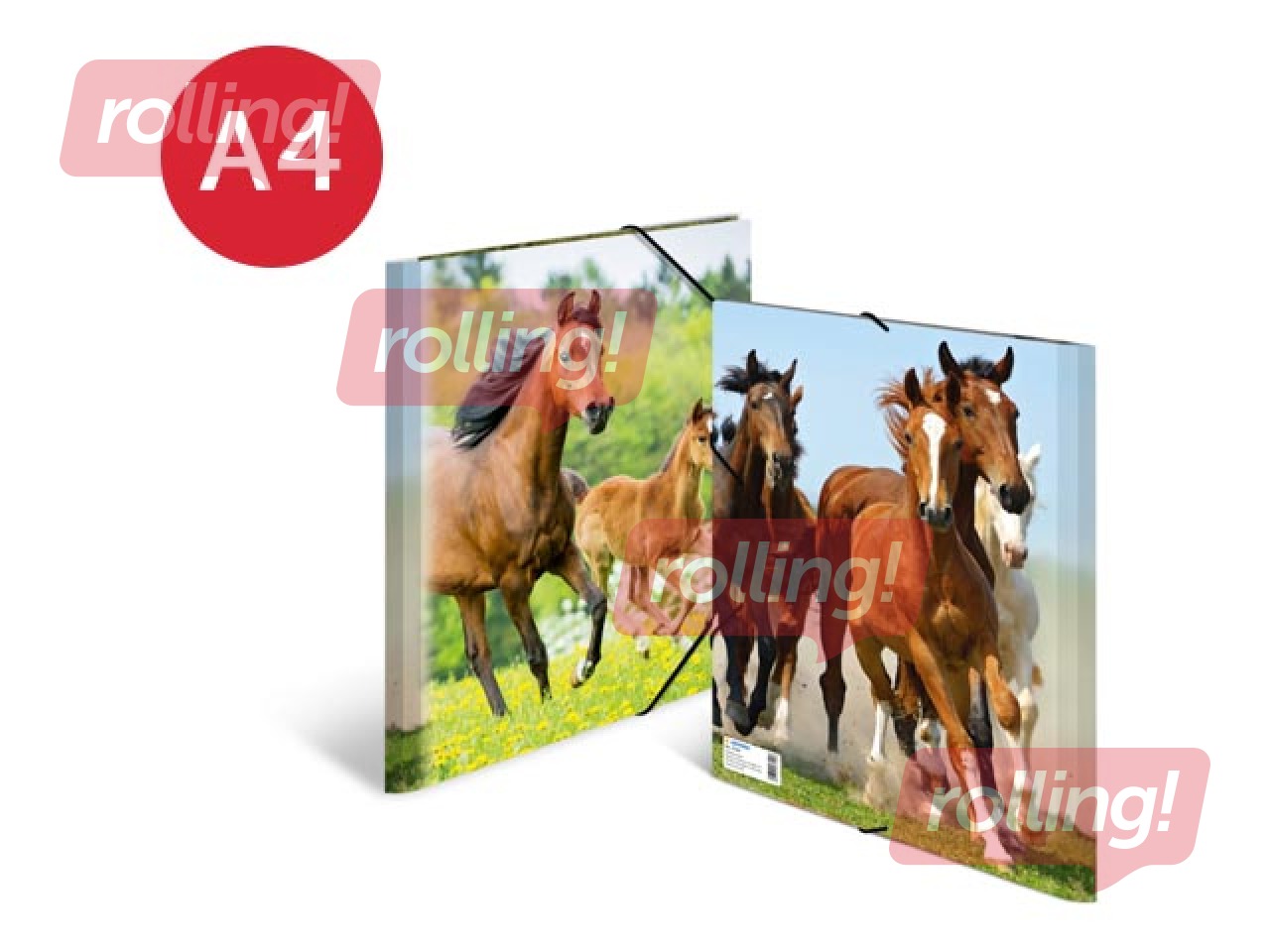 Mape ar 3 atlokiem un gumijām Herma, dzīvnieku apdruka, A4, PP