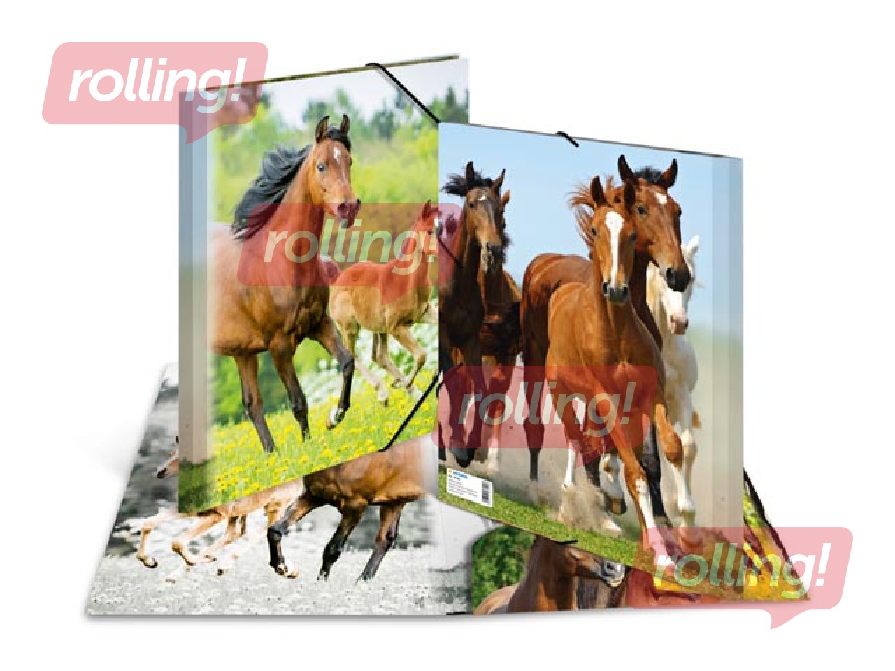 Mape ar 3 atlokiem un gumijām Herma, dzīvnieku apdruka, A4, PP