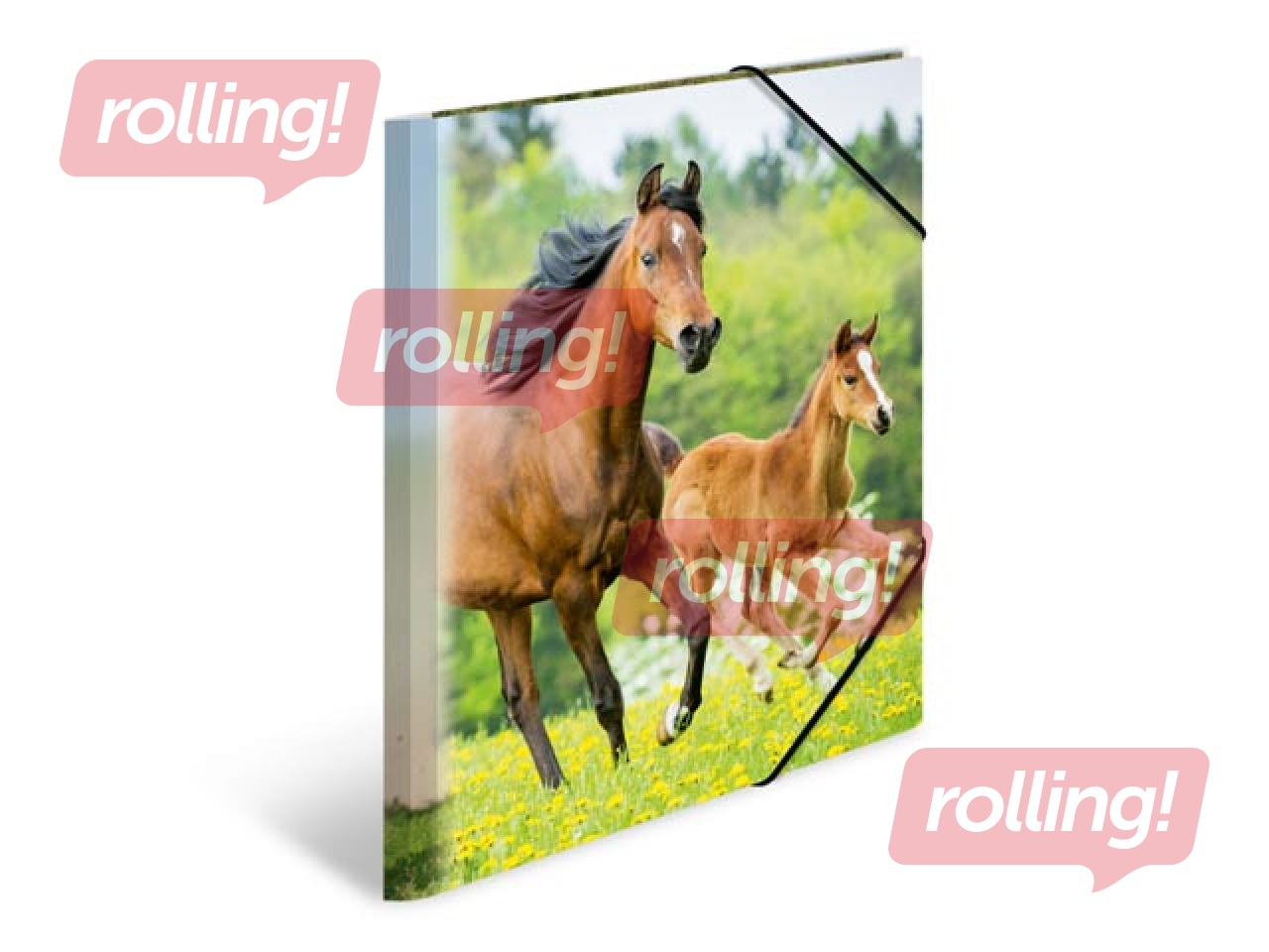 Mape ar 3 atlokiem un gumijām Herma, dzīvnieku apdruka, A4, PP