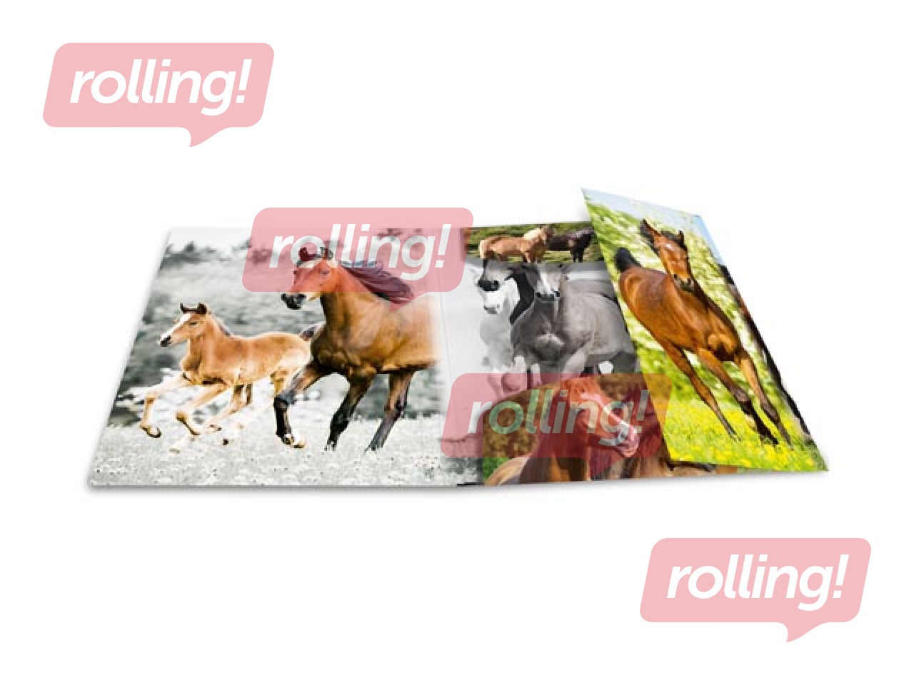 Mape ar 3 atlokiem un gumijām Herma, dzīvnieku apdruka, A4, PP