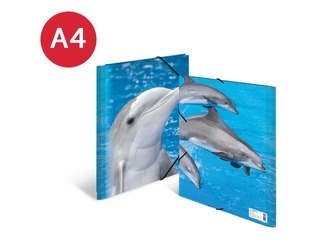 Folder with 3 flaps and rubbers Herma, A4, PP