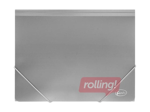 Box Folder with rubber Forofis, A4, 30mm, grey