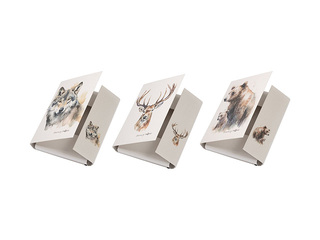 Mape ar 3 atlokiem un gumiju Pagna Save me No.5, A4, dažādi zvēri