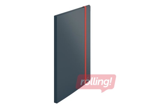 Folder with 20 pockets Leitz Cozy, A4, grey