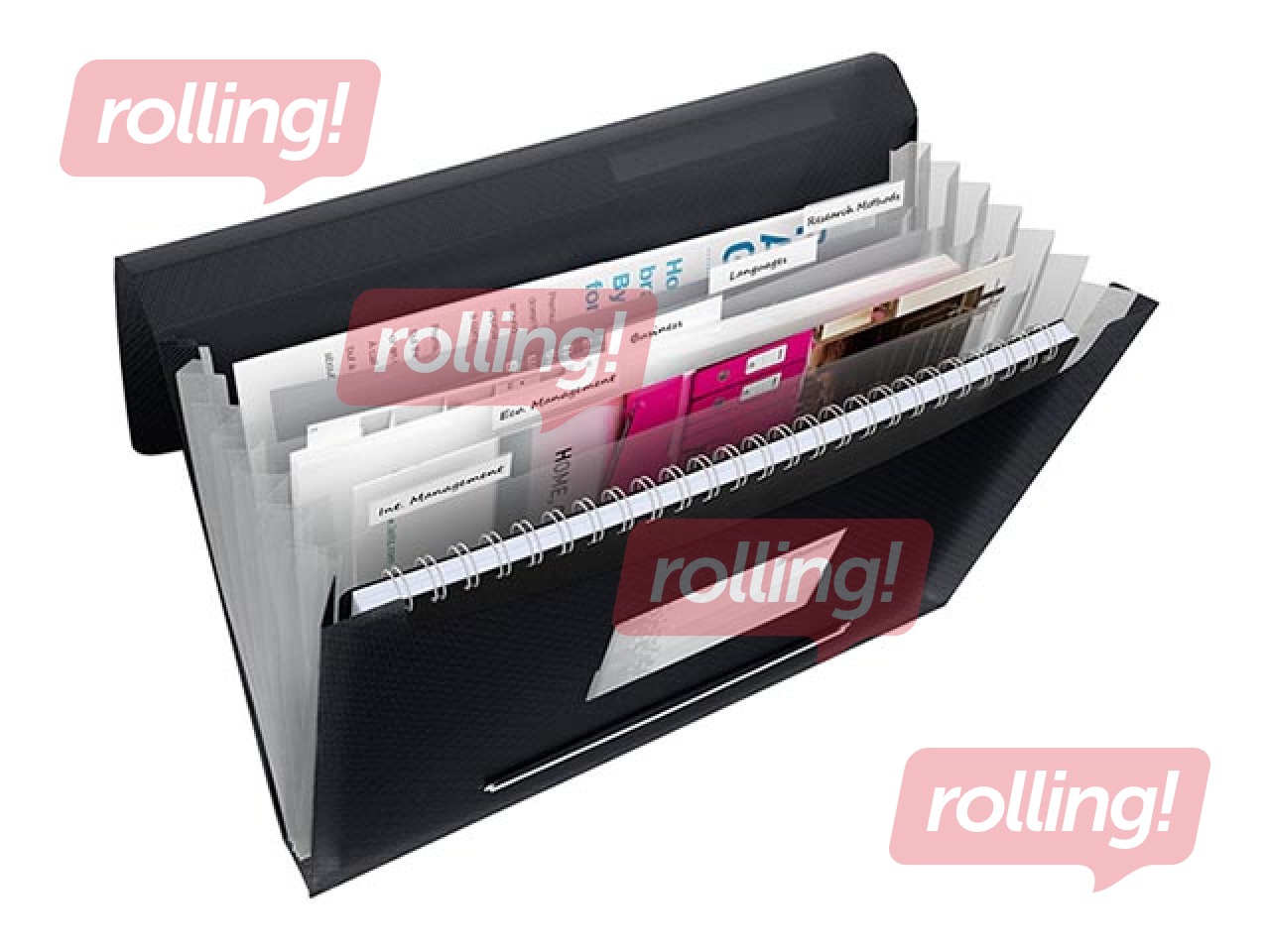 Folder with 6 compartments Esselte Vivid, A4, black