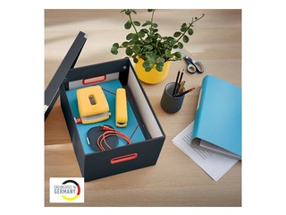 Uzglabāšanas kaste Leitz Cosy Click & Store, A4, pelēka