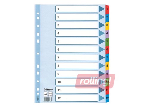 Index Esselte 1-12, A4, cardboard
