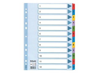 Разделитель документов Esselte 1-12, A4, картонный