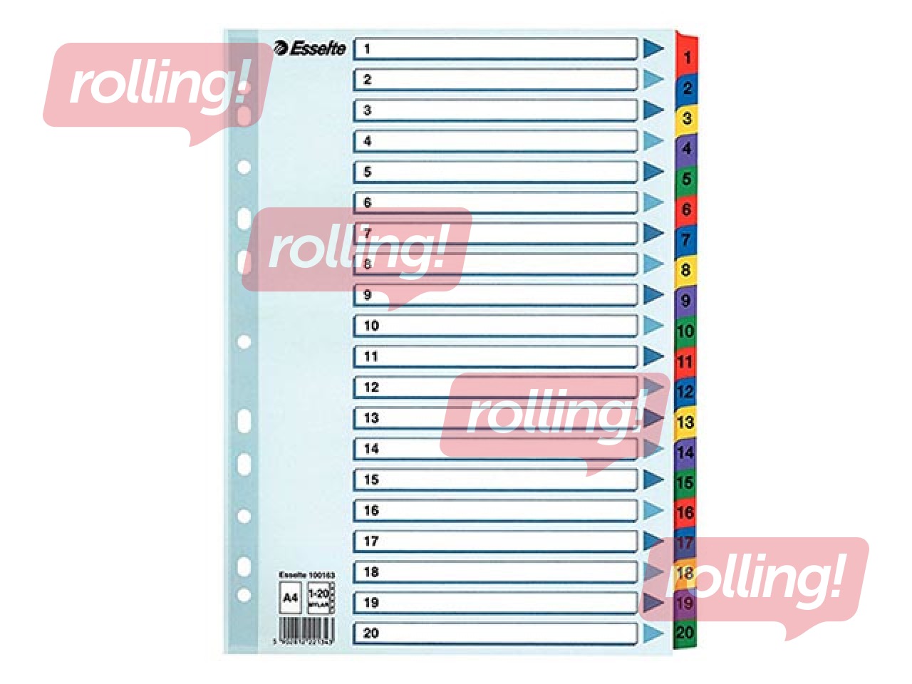 Dokumentu sadalītājs Esselte 1-20, A4, kartona
