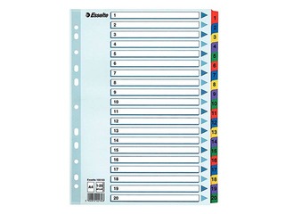 Index Esselte 1-20, A4, cardboard