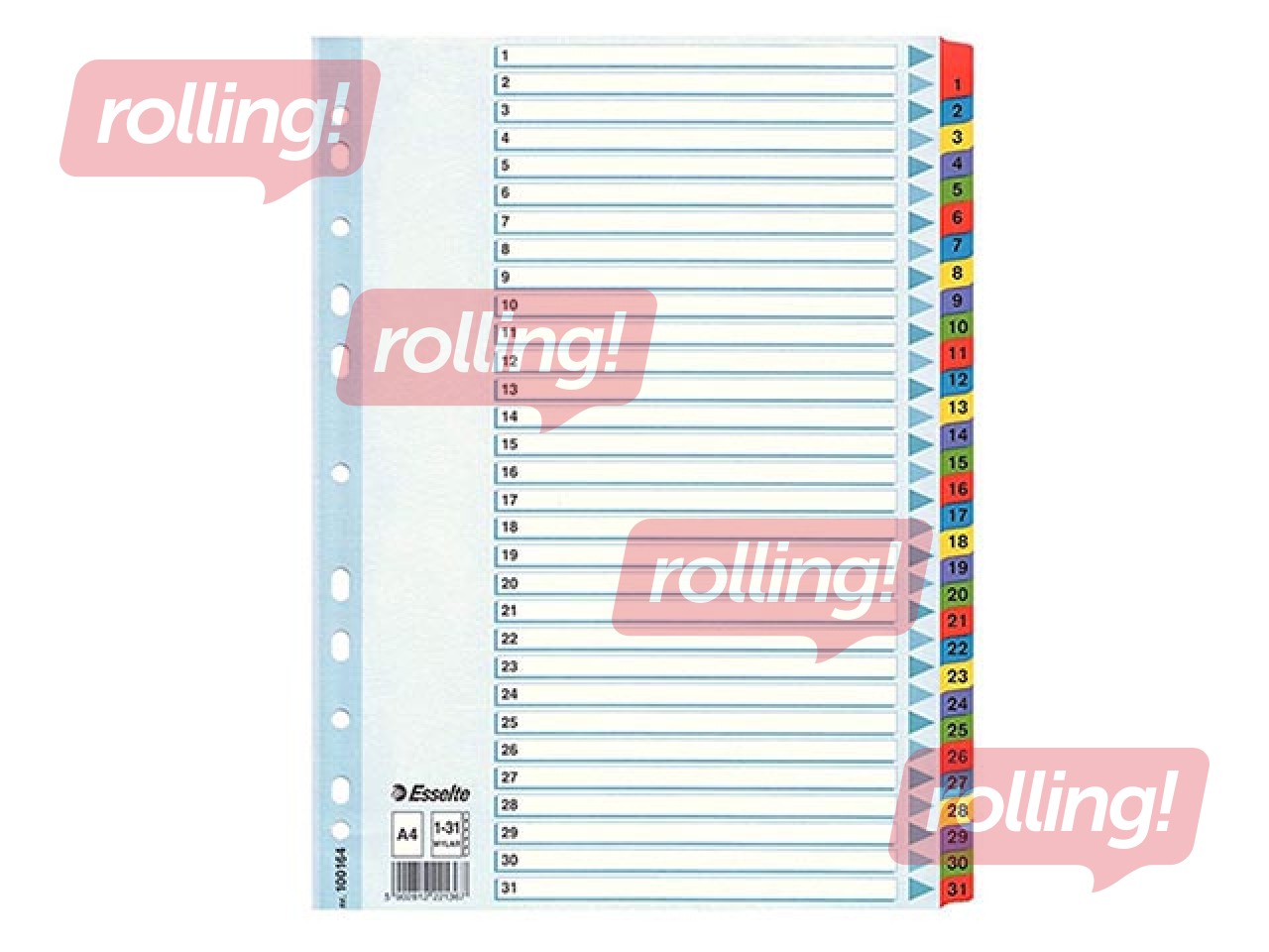 Dokumentu sadalītājs Esselte 1-31, A4, kartona