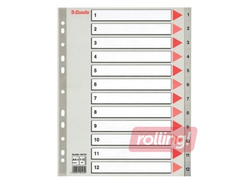 Dokumentu sadalītājs Esselte 1-12, A4, PP, pelēks