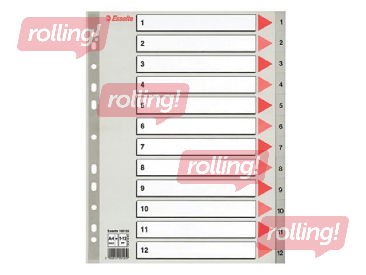 Dokumentu sadalītājs Esselte 1-12, A4, PP, pelēks