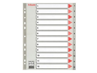 Index Esselte, A4, PP, 1- 12, grey