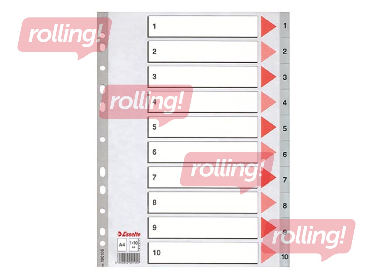 Dokumentu sadalītājs Esselte 1-10, A4, PP, pelēks